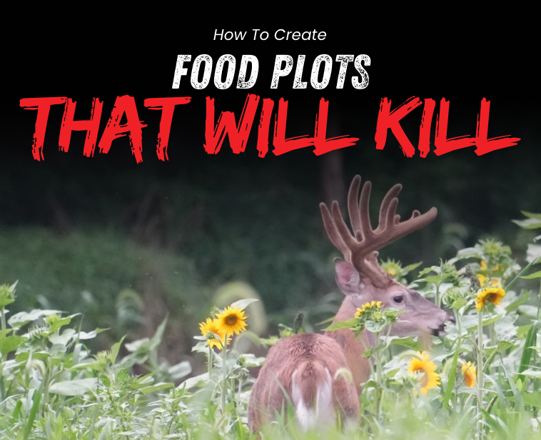 Food Plots That Will Kill