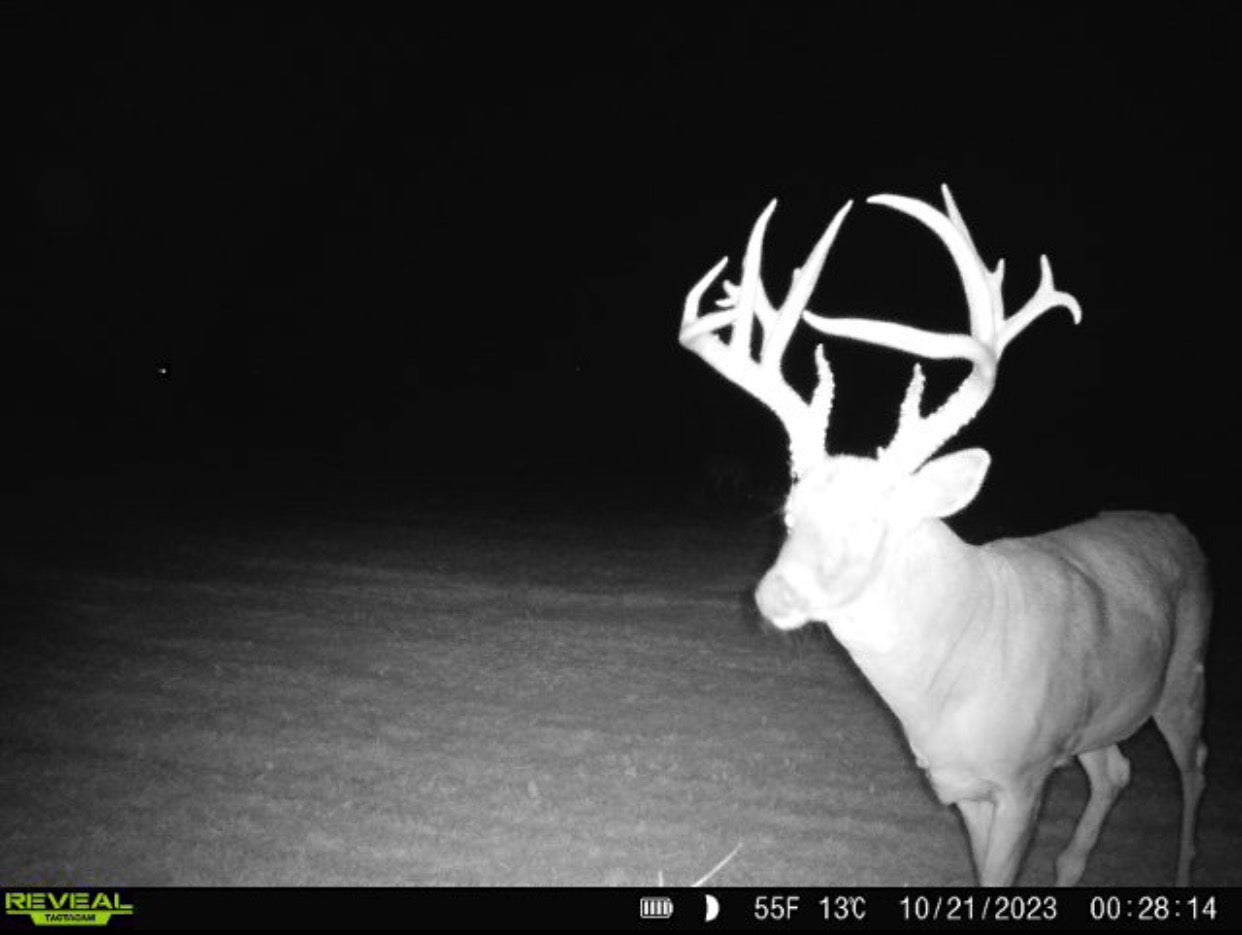 Reveal Cell Cam Photo Leads to a Buck of a Lifetime!