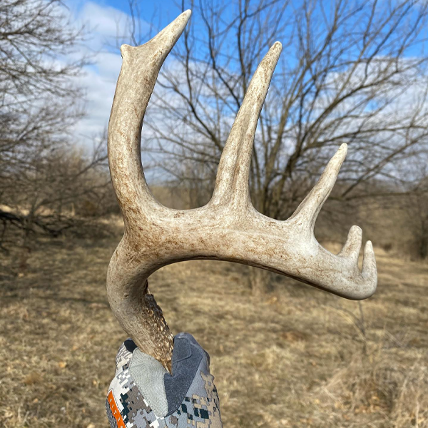 Shed Hunting Tips