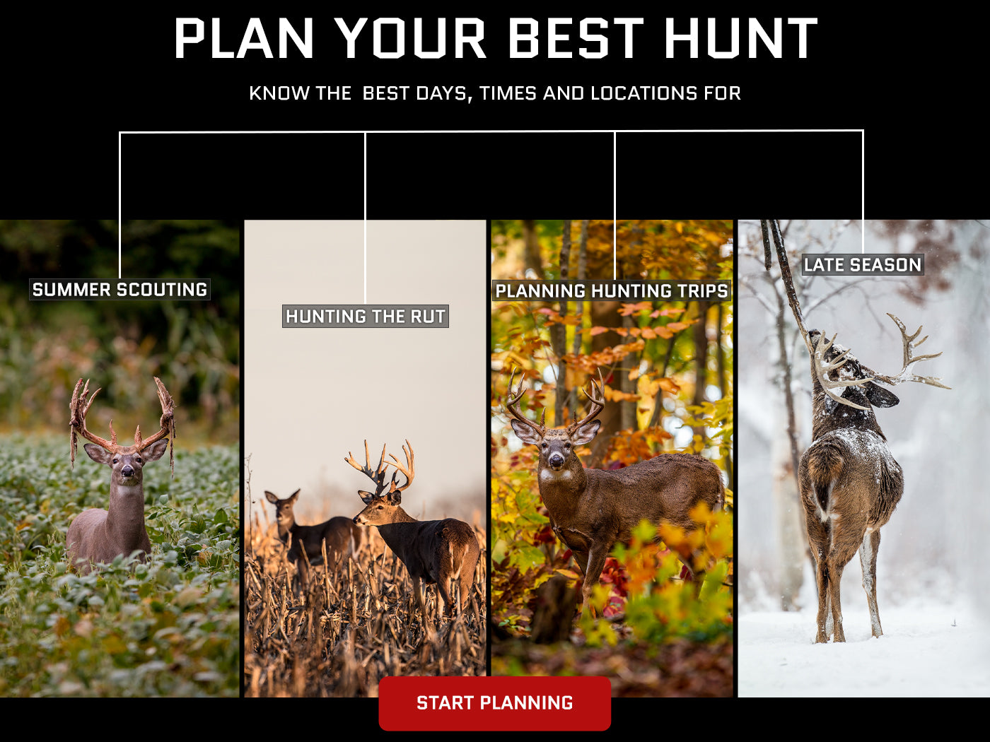 The moon is the only factor you can plan for months in advanced. The Deer Hunter's MoonGuide has 20 years of proven success. Join the growing number of hunters who have harvested the biggest buck of their lives on the "Red Moon" using the MoonGuide.