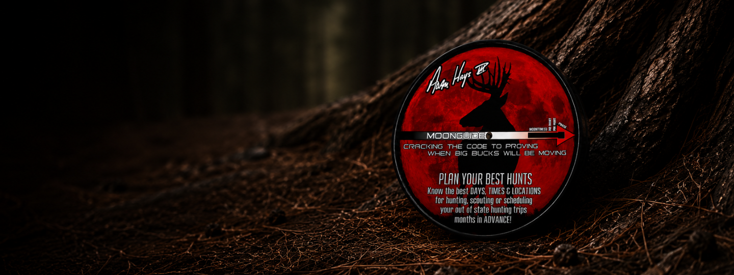 The MoonGuide Dial resting on the forest floor
